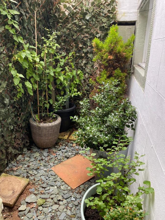 Busy Beas Cottage ワーキントン エクステリア 写真